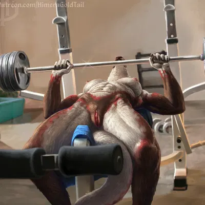 created by himeragoldtail