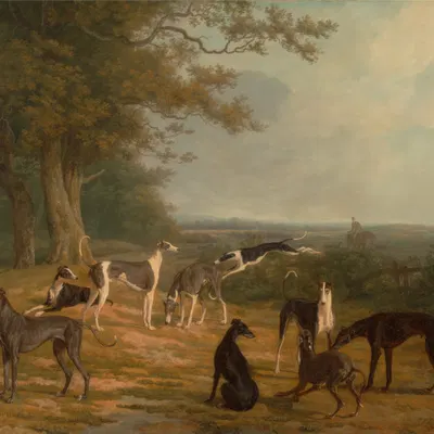 created by jacques-laurent agasse