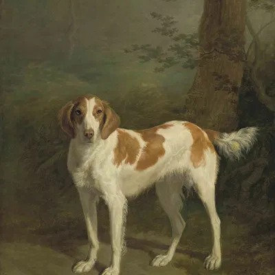 created by jacques-laurent agasse