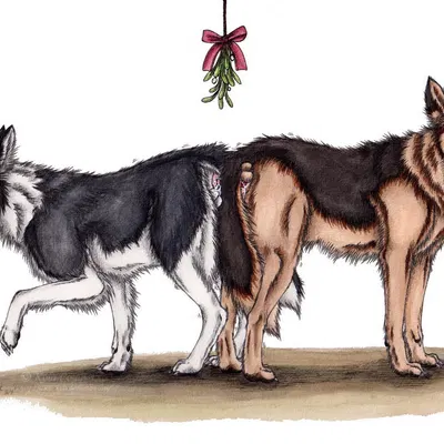 created by kola (artist)