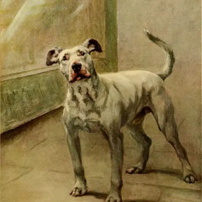 created by maud earl