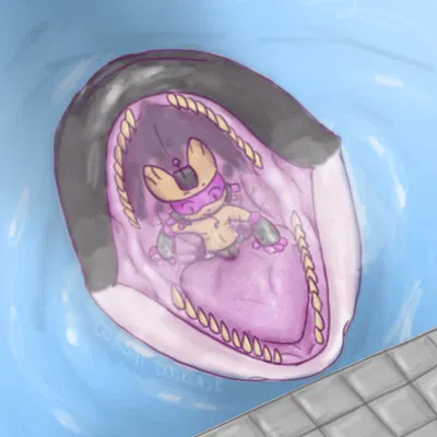 created by silly roll