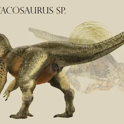 created by tessasaurus rex