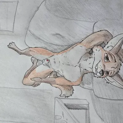 created by wolfyalex96