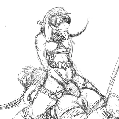 donk (hladilnik), donk sis (hladilnik) created by hladilnik