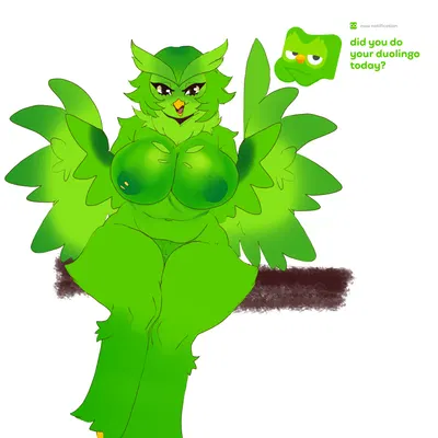 duo (duolingo) (duolingo) created by gatoradeew