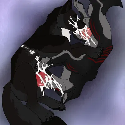 echo (wolffylegend), sitka created by killthe demon