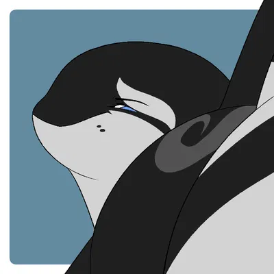 eclipse (orca621) created by dolphinproject