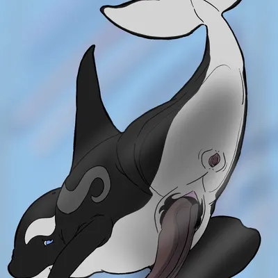 eclipse (orca621) created by wyrmling (artist)