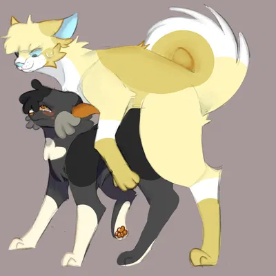 fan character (warriors (book series)) created by tempestpaw