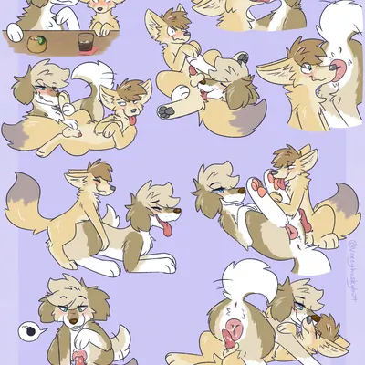 foxxar, gracie (vixeyhuskybutt) created by vixeyhuskybutt