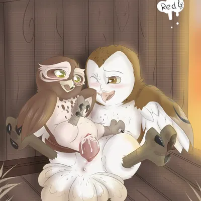 gylfie, soren (gogh) (guardians of ga'hoole) created by redfoxsoul