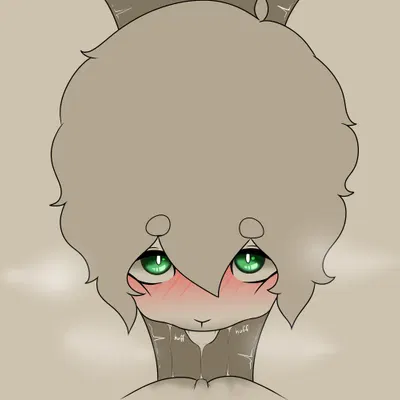 haven (catsockjus) created by catsockjus