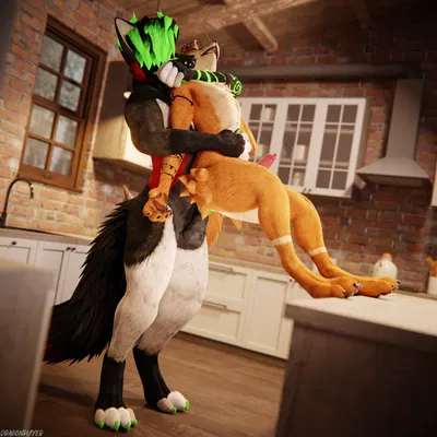 helltouchedfox, rolen created by dragonplayer