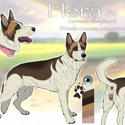 hera (pandashepherd) created by kodaac
