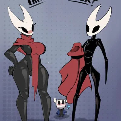 hornet (hollow knight), the knight (hollow knight) (hollow knight (franchise), team cherry) created by azura inalis