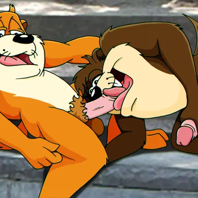hugh (taz-mania), tasmanian devil (looney tunes) (looney tunes, taz-mania) created by fabfelipe