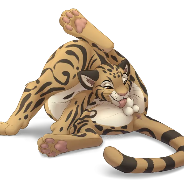 jan (shape-shifter) created by roughlady