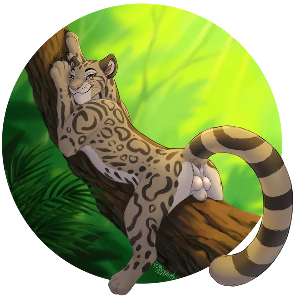 jan (shape-shifter) created by roughlady