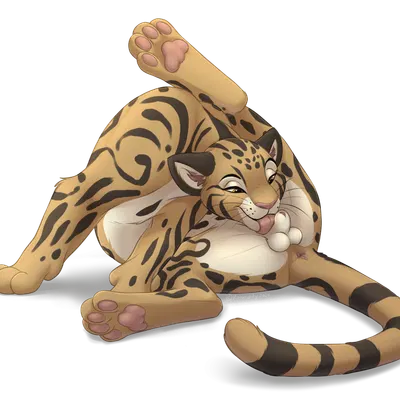 jan (shape-shifter) created by roughlady