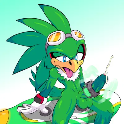 jet the hawk (sega, sonic riders) created by rakkan