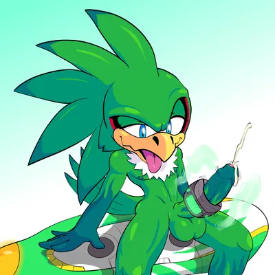 jet the hawk (sega, sonic riders) created by rakkan