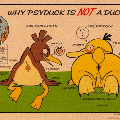 jon (hoosierman9911a) (game freak, nintendo) created by hoosierman9911a