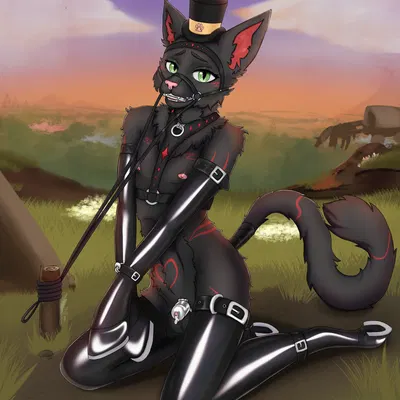 kaden-nishiki created by sati kurosawa