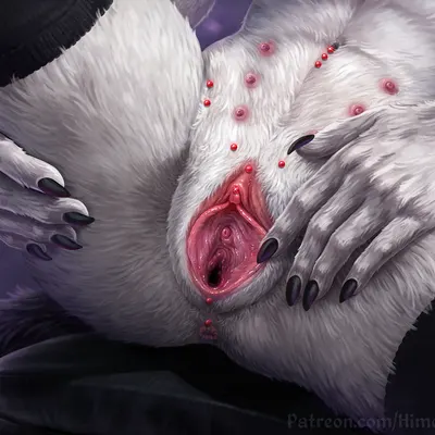 kisa (donshadowwolf) created by himeragoldtail