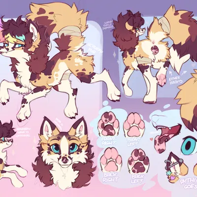 koira (koira) created by k0ira