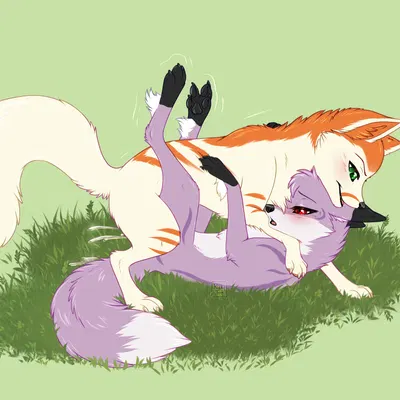 lyrilla (lyrenry), raito (hekkibluefox) created by rukifox