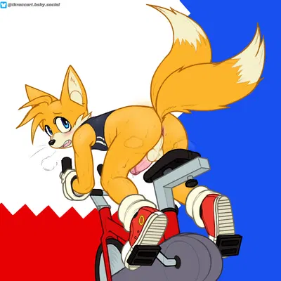 miles prower (sega, sonic the hedgehog (series)) created by tkraccoon