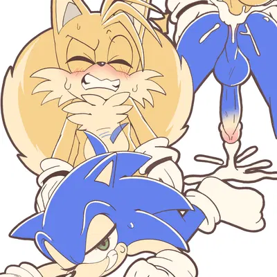 miles prower, sonic the hedgehog (sega, sonic the hedgehog (series)) created by senshion