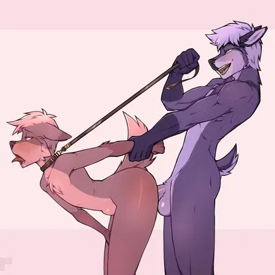 mir (mirdrains) created by shaurmyash