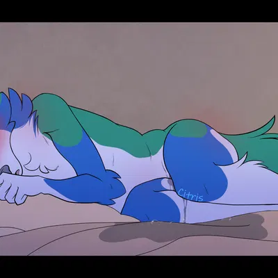 punk (paccidents) created by citris