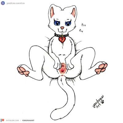 pussycat tiger (patreon) created by yordraw