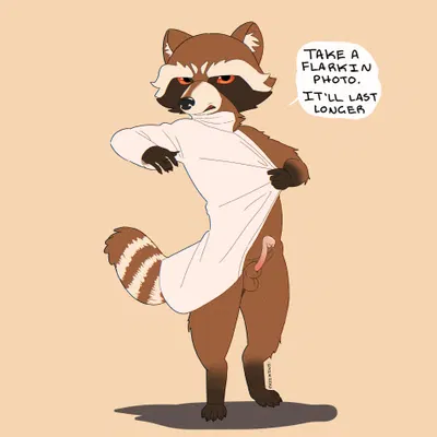 rocket raccoon (guardians of the galaxy, marvel) created by fajikiwi