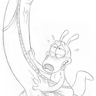 rocko rama (nickelodeon, rocko's modern life) created by brainsister