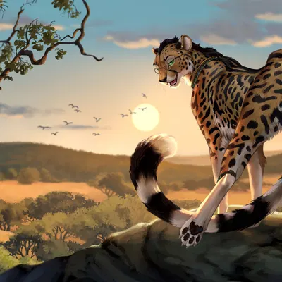 roidhcheetah created by reallynxgirl