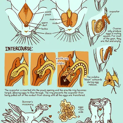 runaway to the stars created by jayrockin
