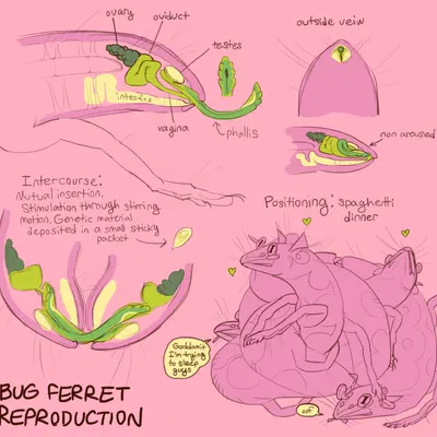 runaway to the stars created by jayrockin