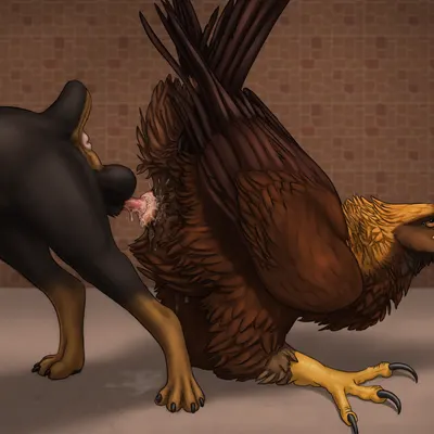 sawyer (ferobird) created by ferobird, windpaw