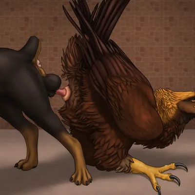 sawyer (ferobird) created by ferobird, windpaw