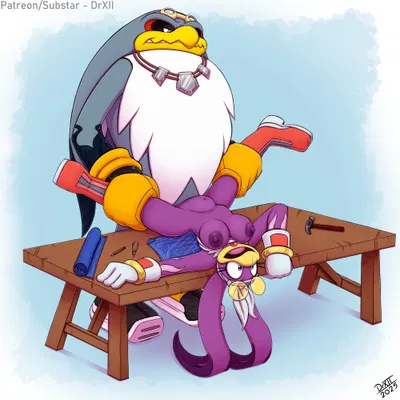 storm the albatross, wave the swallow (sega, sonic riders) created by drxii