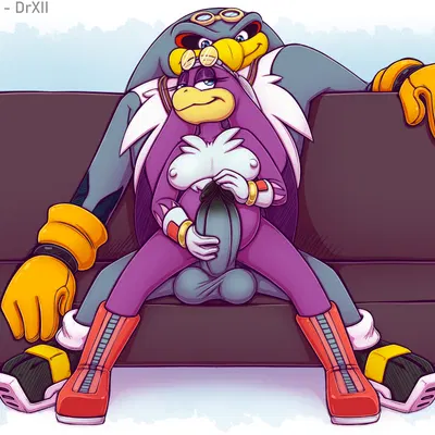 storm the albatross, wave the swallow (sega, sonic riders) created by drxii