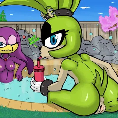 surge the tenrec, wave the swallow (idw publishing, sega) created by t-55dasha