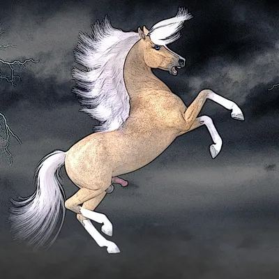 thowra (the silver brumby) created by sunjaguar