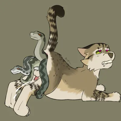 thrushpelt (thunderclan) (warriors (book series)) created by puppyratcat