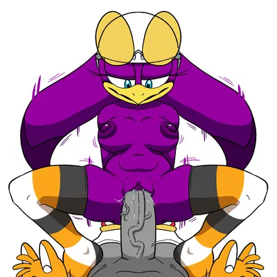 wave the swallow (sega, sonic riders) created by 4chan anon