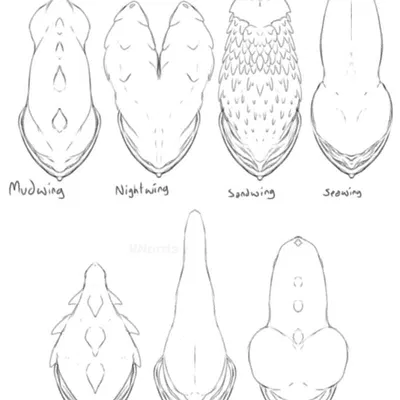 wings of fire created by puppetmaster13uwu